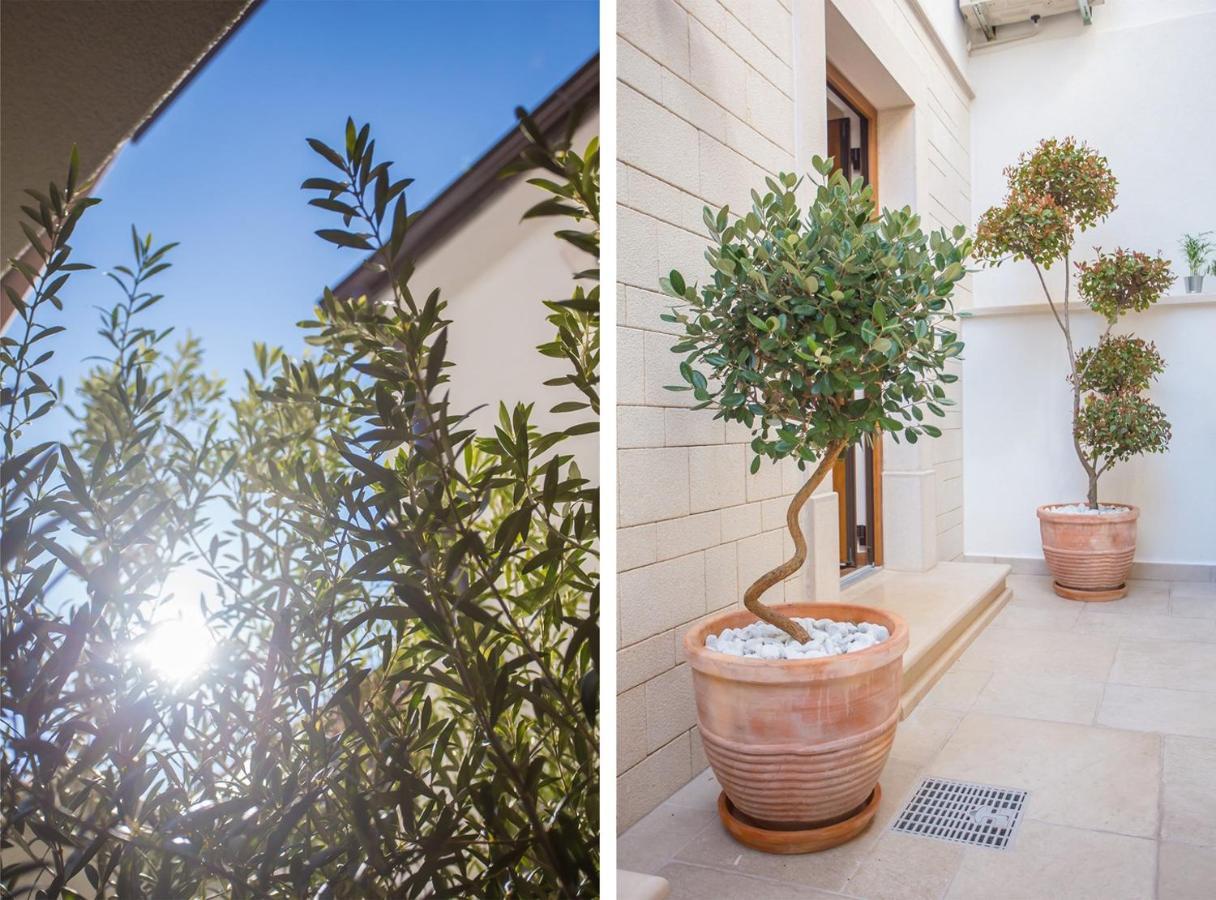 Holiday Home Camellia Poreč Zewnętrze zdjęcie